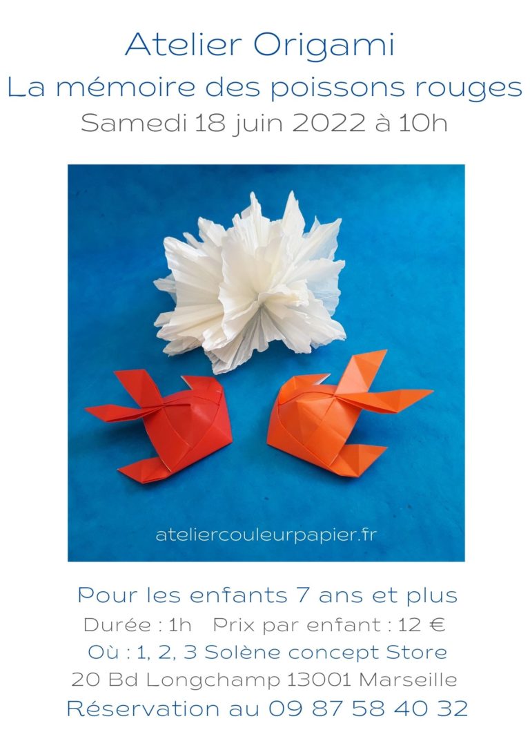 Atelier Origami La mémoire des poissons rouges